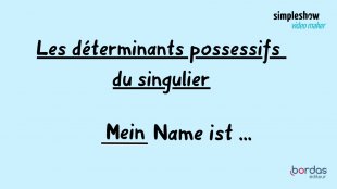 B. Les déterminants possessifs