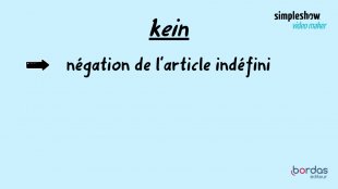 D. La négation kein