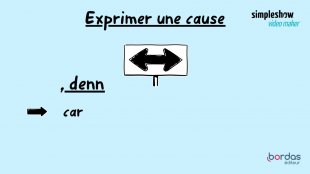 B. La subordonnée de cause avec weil